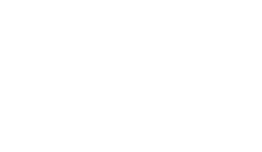 leyla transparent